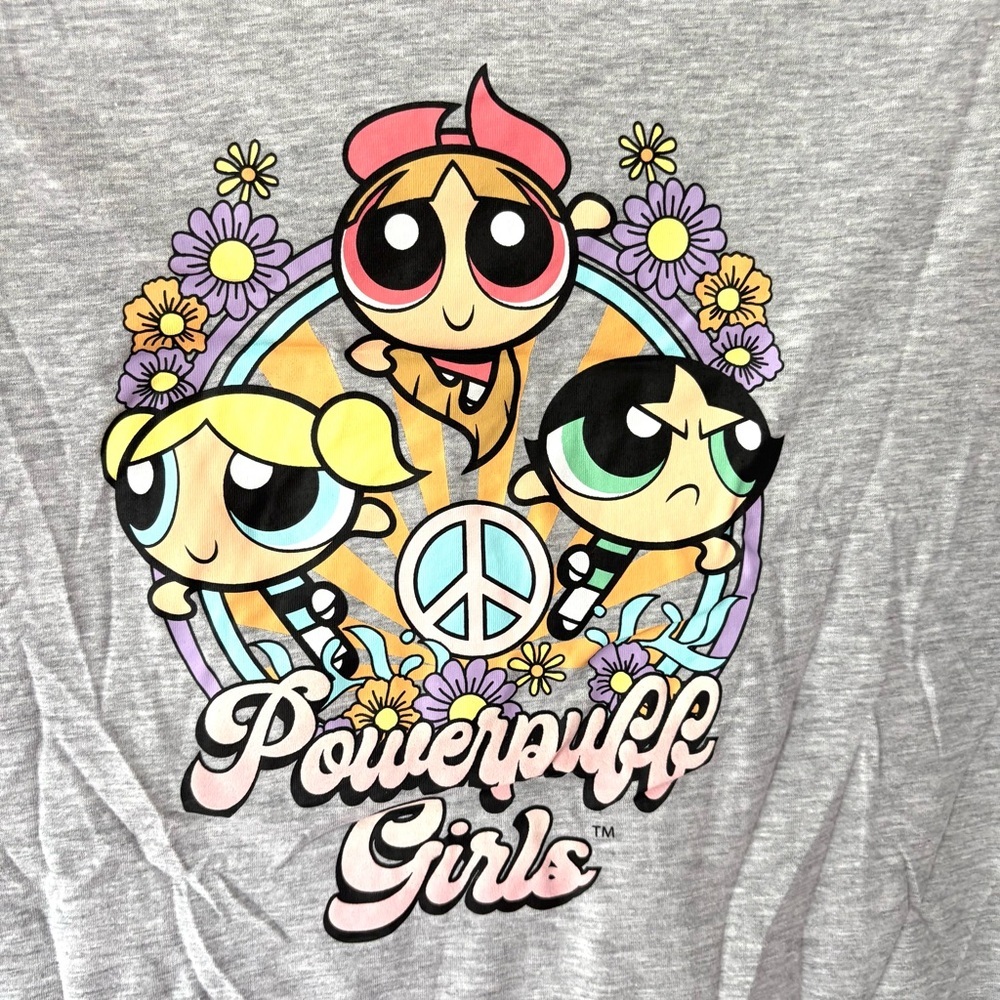 NWT Powerpuff Girls Boyfriend Graphic T-Shirt Gray SZ XXL NWT - Picture 8 of 8